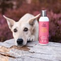 PETHARMONY SZAMPON Z ODŻYWKĄ 200ml 3.jpg